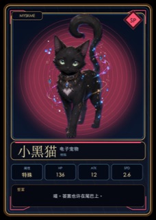 小黑猫